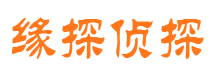 渑池侦探